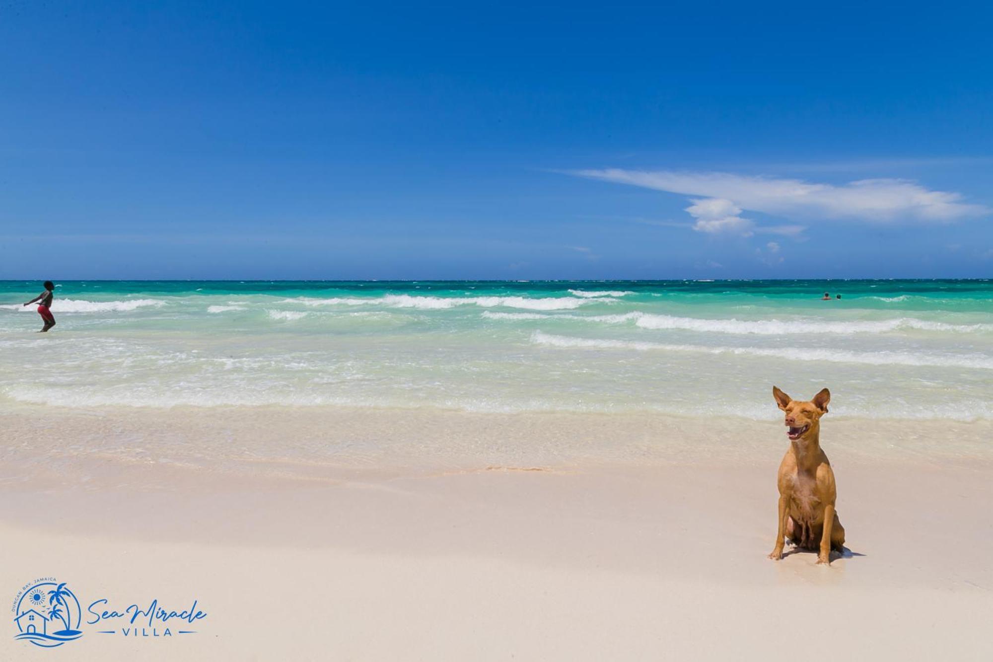 Sea Miracle Villa/beach Ferienhaus Silver Sands